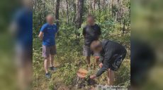 Затримали в лісі: молодому хлопцю на Харківщині загрожує тюрма