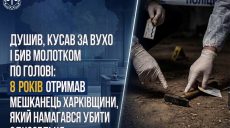 Душил и бил молотком по голове: нападавшего осудили на 8 лет за покушение