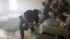 Погибли 10 кроликов, у слона стресс. Итог удара БпЛА РФ по зоопарку Харькова