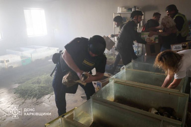 Погибли 10 кроликов, у слона стресс. Итог удара БпЛА РФ по зоопарку Харькова