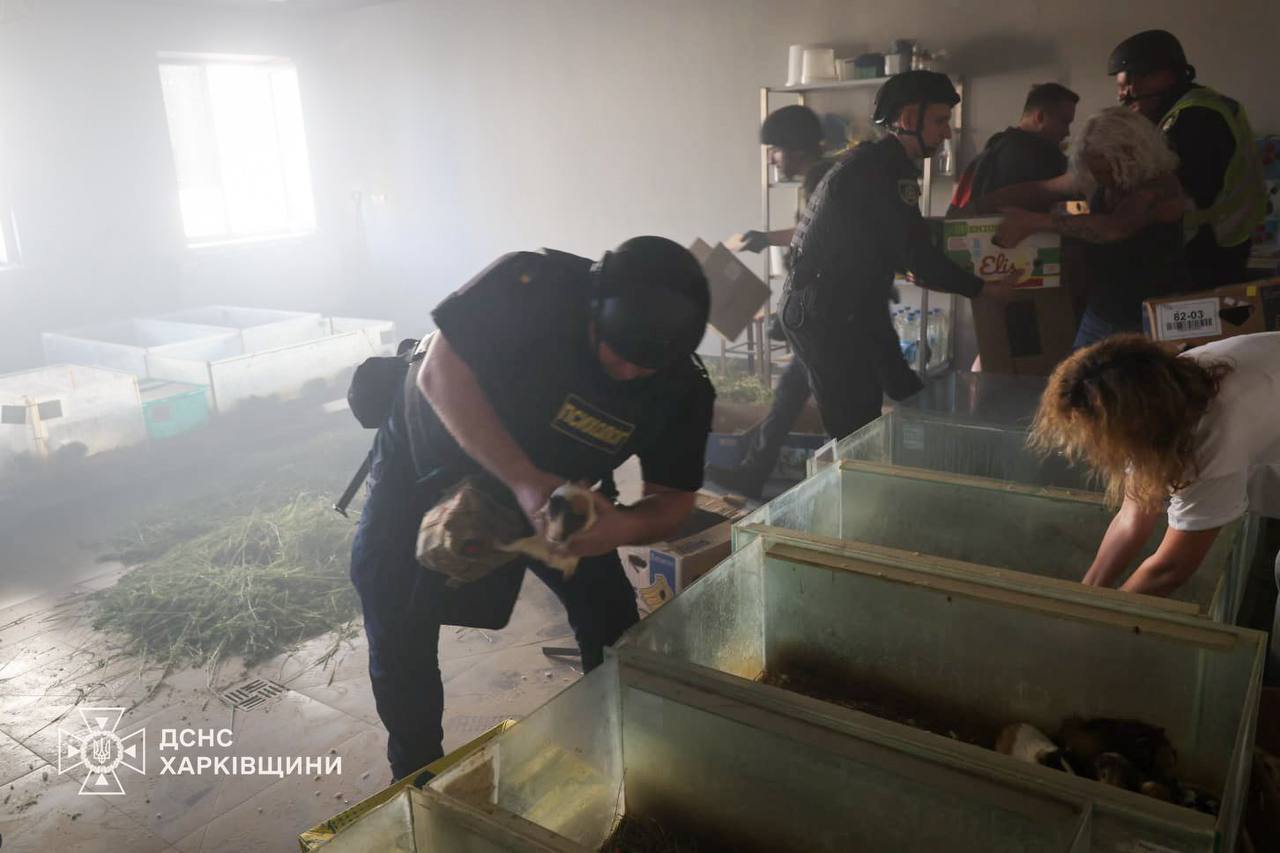 Погибли 10 кроликов, у слона стресс. Итог удара БпЛА РФ по зоопарку Харькова