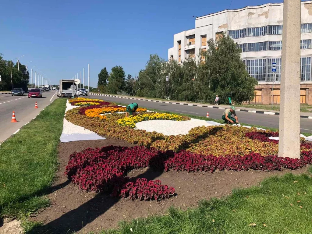 Высаживают цветы в Холодногорском районе