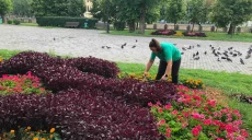 Больше 40 тысяч цветов высадили в Холодногорском районе (фото)