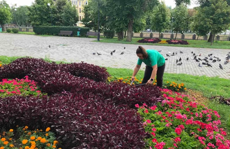 Понад 40 тисяч квітів висадили у Холодногірському районі (фото)