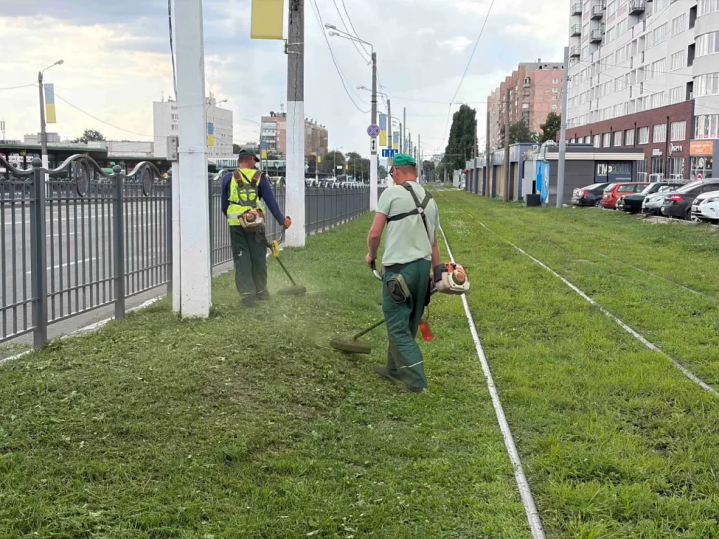 Высаживают цветы в Холодногорском районе