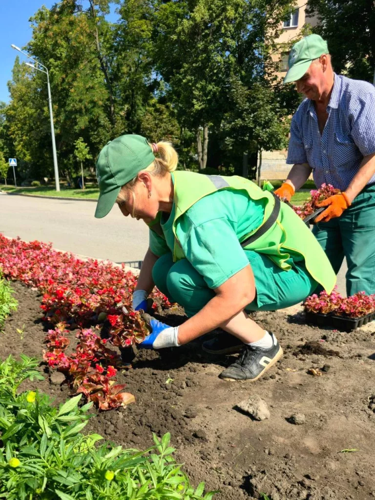 В Харькове высаживают цветы