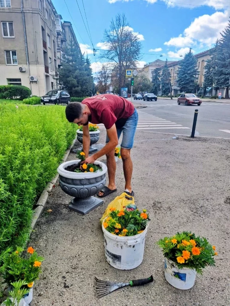 Высаживают цветы в Киевском районе