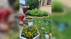 За неделю в Киевском районе стало почти на полторы тысячи больше цветов