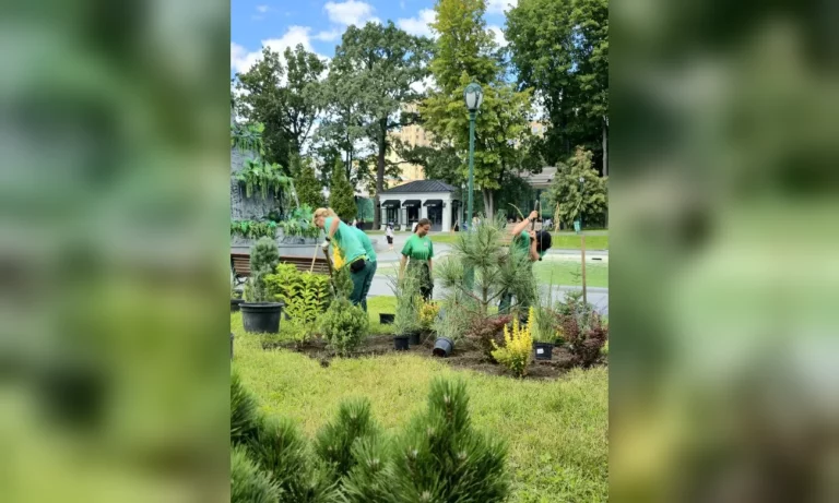 Новую красочную композицию создают в саду Шевченко: что высаживают 📷