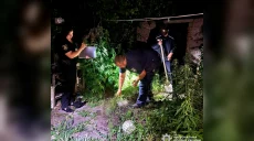 Понад пів тисячі кущів коноплі й маку знайшли у жителя Харківщини – НПУ