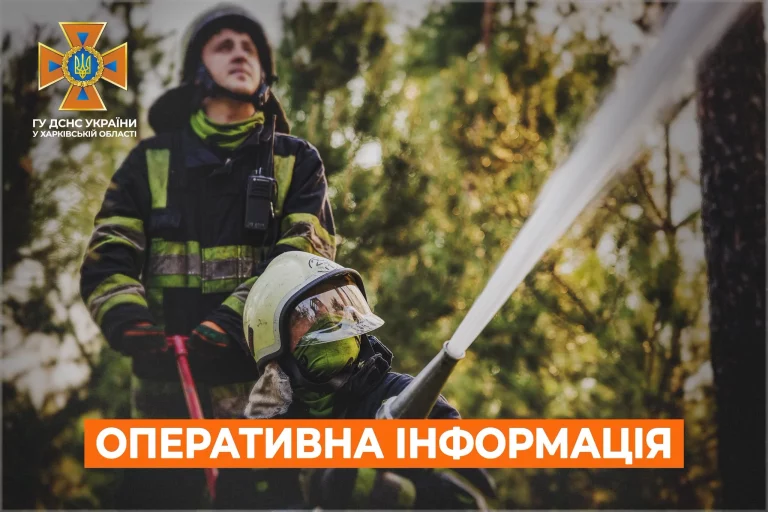 Де вирували пожежі на Харківщині, розповіли у ДСНС