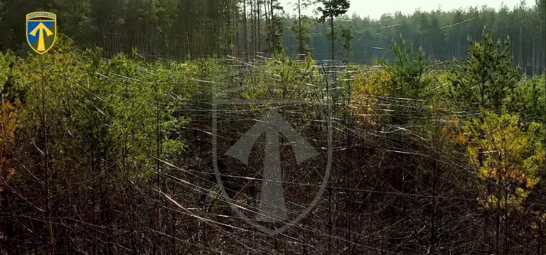 Тысячи км «паутины» из оптоволокна: как выглядят Волчанские леса (видео)