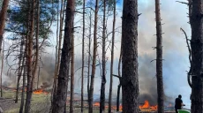 У понад вісім разів зменшилася площа лісових пожеж на Харківщині