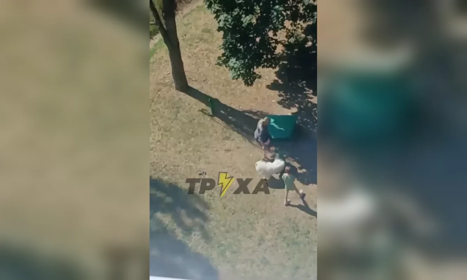 Била собаку ногами на глазах у ребенка: полиция проводит проверку в Харькове