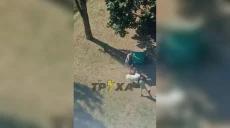 Била собаку ногами на очах у дитини: поліція проводить перевірку в Харкові
