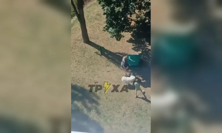 Била собаку ногами на глазах у ребенка: полиция проводит проверку в Харькове