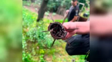 Привёз опасную находку домой: подробности травмирования харьковчанина