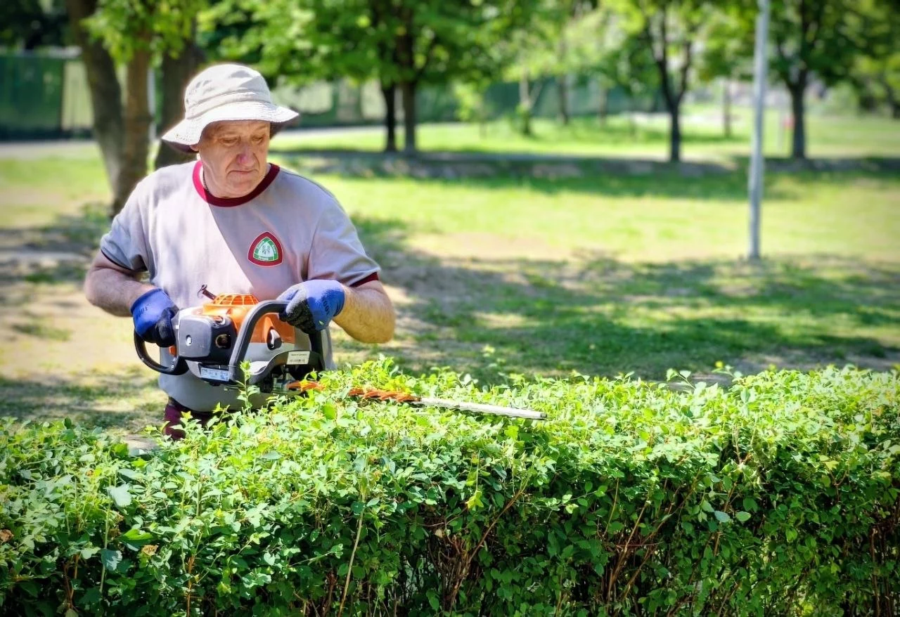 В Харькове работают озеленители