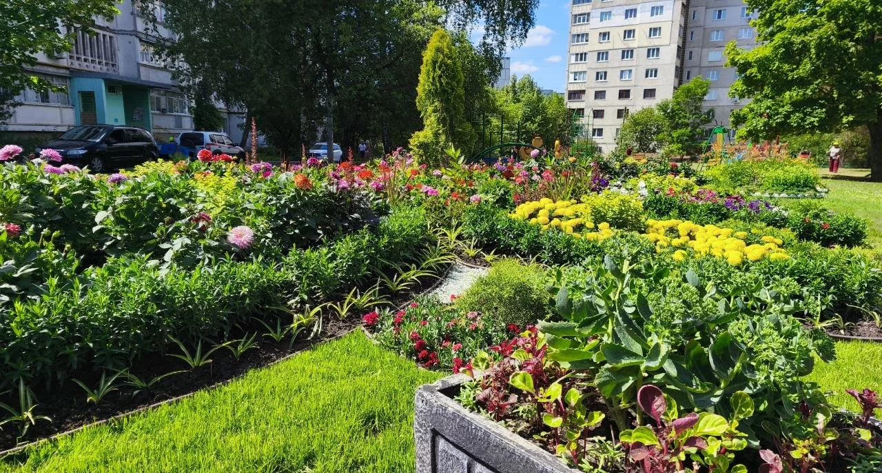 За месяц в Харькове высадили 12 тысяч цветов — мэрия (фото)