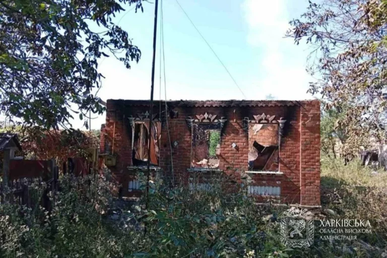 Синегубов про обстрелы Харьковщины: 17 бомб прилетели за сутки