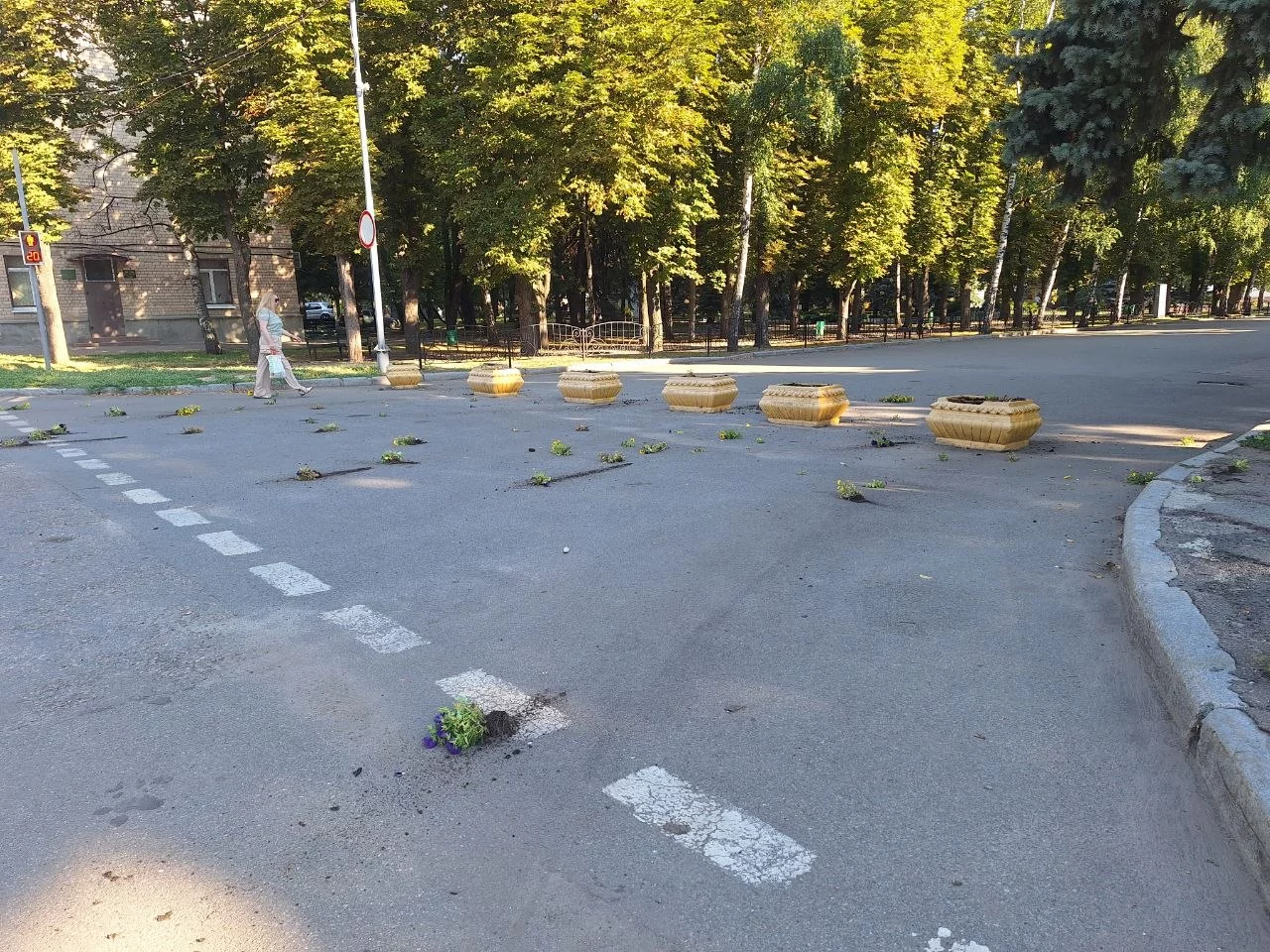 Вырвали цветы в Лозовой перед мэрией 2