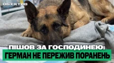 «Бандероль» убила пса; враг продвинулся на Харьковщине – итоги 28 июля