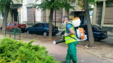 Коммунальщики на рассвете выйдут в популярные парки Харькова — подробности