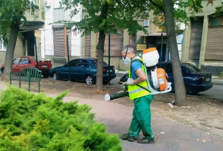 Комунальники на світанку вийдуть у популярні парки Харкова – подробиці