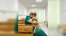 У КП “Центр поводження з тваринами” з’явилося укриття