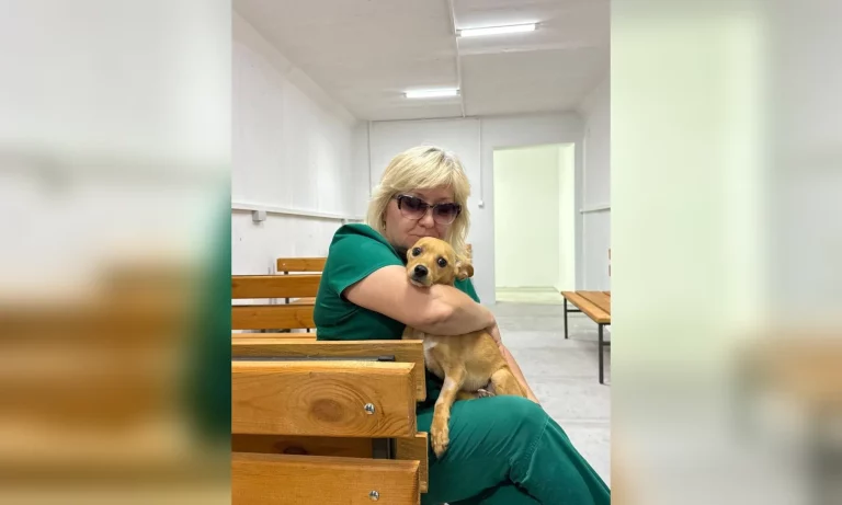 У КП “Центр поводження з тваринами” з’явилося укриття