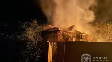 Близько 80 безпілотників атакували Харків та область протягом доби