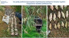 Незаконная рыбалка: за один день на Харьковщине обнаружили два нарушения