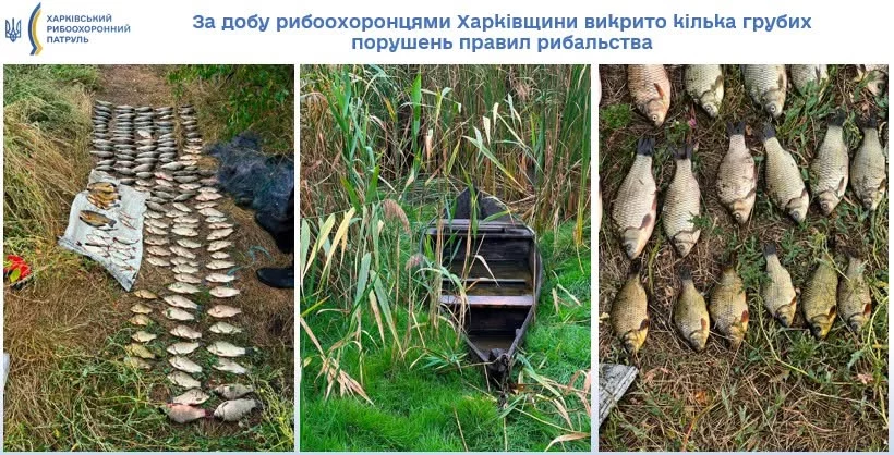 Незаконна рибалка: за один день на Харківщині виявили два порушення