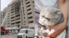 «Остался один среди руин»: в Харькове спасли кота Барни после удара по дому