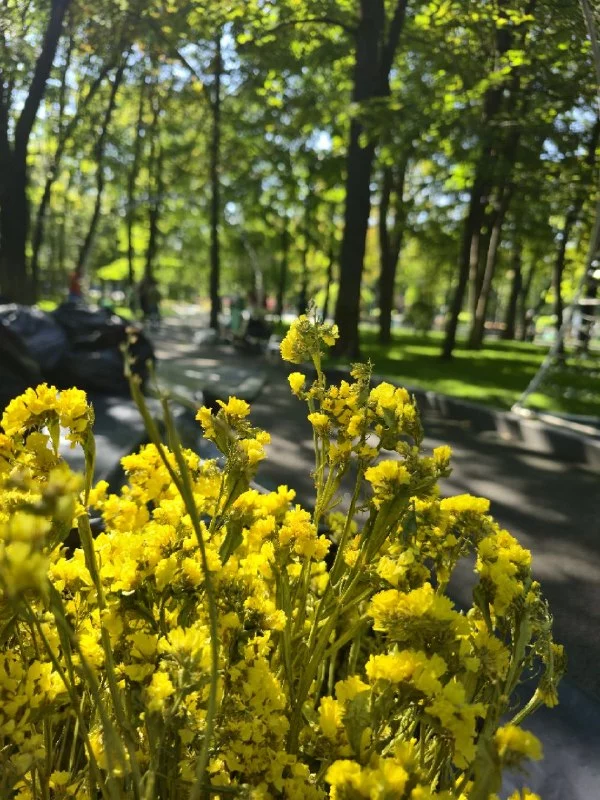 Харьков украшают ко Дню города