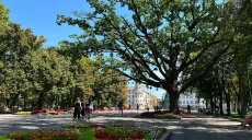 Новости Харькова – главное 25 августа: смертельный удар по городу