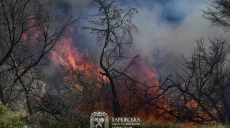 Пожары охватили 11 га, на Харьковщине погибли два человека: сводка ГСЧС