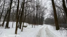 Допомогла апеляція: землю за 18 млн грн забрали у підприємства в Харкові