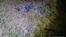 FPV-дрони тероризують Дергачівську та Золочівську громади: є постраждалий