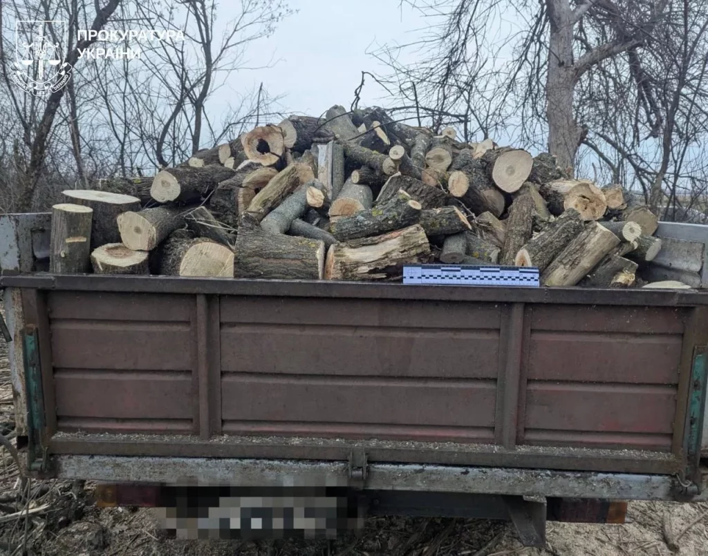 Незаконная вырубка деревьев на Харьковщине