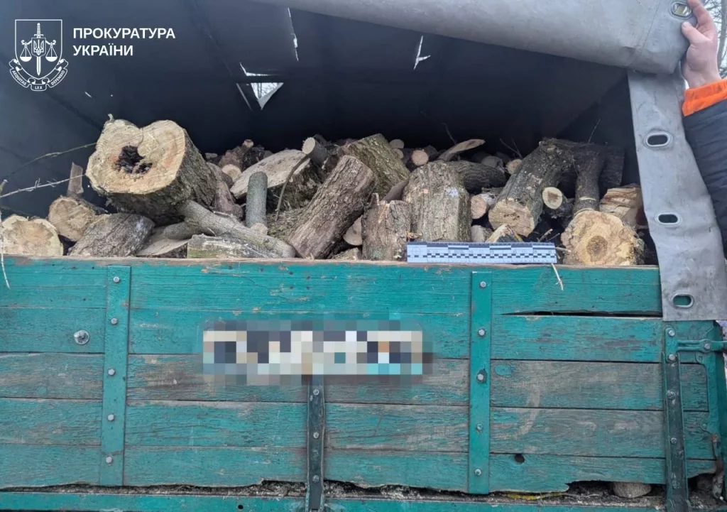 Незаконная вырубка деревьев на Харьковщине