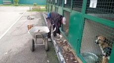 В Харькове коммунальщики улучшили условия проживания четырехлапых