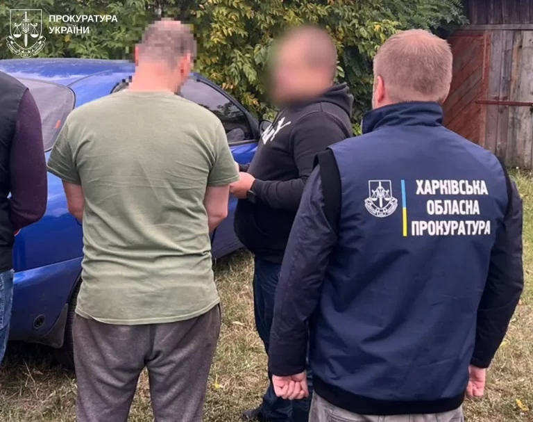 “Не помітив” як спиляли 651 дерево: кого підозрюють на Харківщині