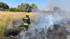 За сутки в Харьковской области потушили 13 пожаров в экосистемах – ГСЧС