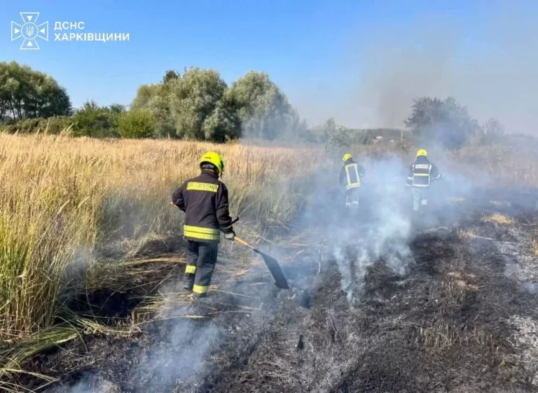 За сутки в Харьковской области потушили 13 пожаров в экосистемах – ГСЧС