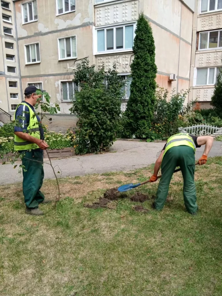 Дерева висадили на Північній Салтівці