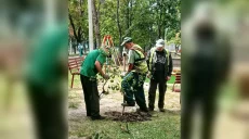 Зеленый фонд Северной Салтовки пополнился новыми деревьями