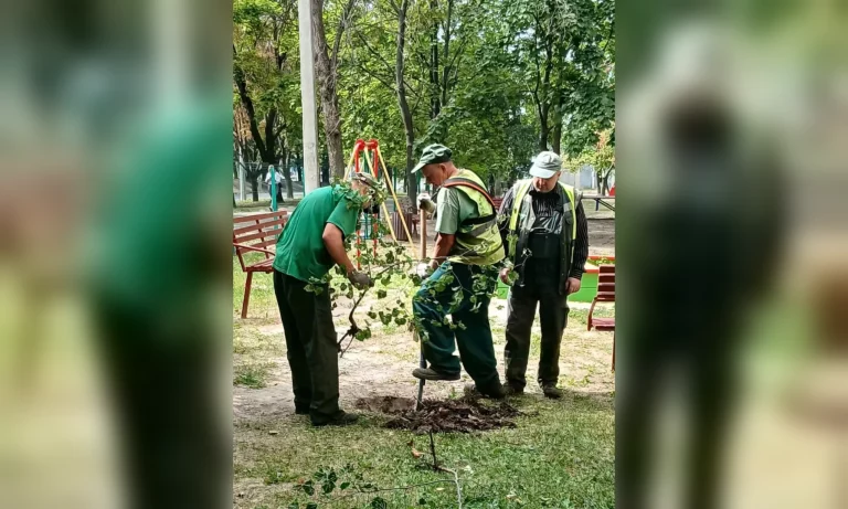 Зелений фонд на Північній Салтівці поповнився новими деревами