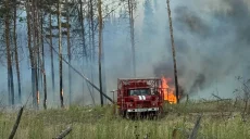 Семь лесных пожаров пытаются потушить спасатели на Харьковщине