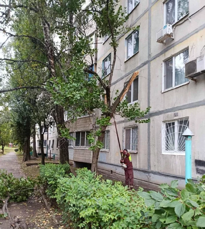 последствия урагана устраняют в Харькове